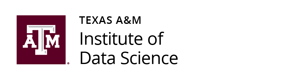 Logo for the TAMU Institute of Data Science