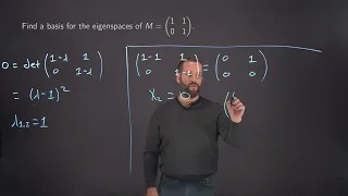 Linear Algebra for Math 308: L5V10