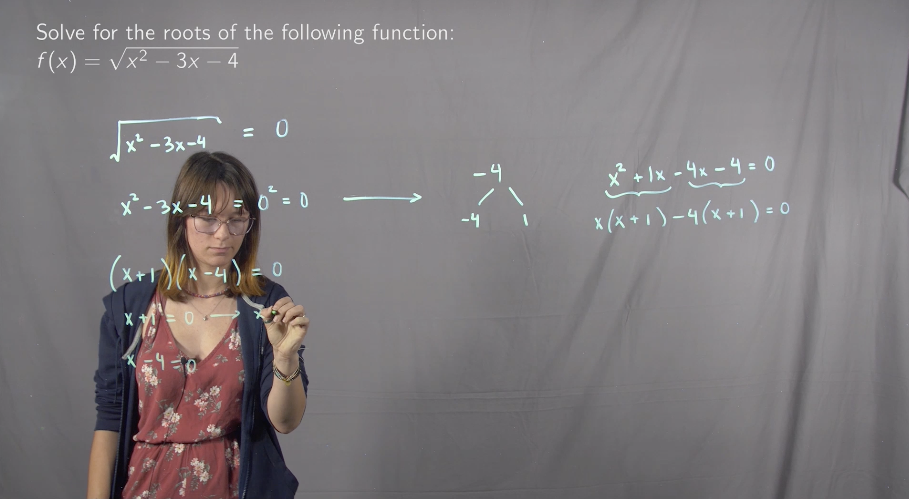 Roots of Functions
